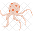 پیش‌نمایش فایل octopus-8443574 از پک زندگی جانوری دریایی