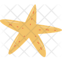 پیش‌نمایش فایل starfish-8443570 از پک زندگی جانوری دریایی