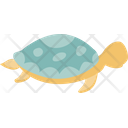 پیش‌نمایش فایل turtle-8443572 از پک زندگی جانوری دریایی