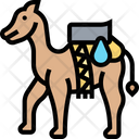 پیش‌نمایش فایل dromedary-5834721 از پک مسلمان