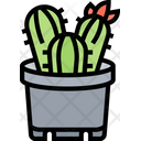 پیش‌نمایش فایل cactus-5836482 از پک قبرس