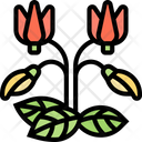 پیش‌نمایش فایل cyclamen-flowers-5836485 از پک قبرس