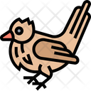 پیش‌نمایش فایل warbler-bird-5836503 از پک قبرس