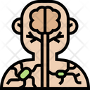 پیش‌نمایش فایل neuron-5836322 از پک آلودگی هوا