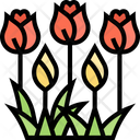 پیش‌نمایش فایل tulip-flower-5833684 از پک آلمان