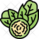 پیش‌نمایش فایل brussel-sprouts-5834925 از پک پروتئین گیاهی