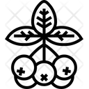 پیش‌نمایش فایل chokeberry-5834869 از پک انواع توت‌ها