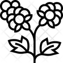 پیش‌نمایش فایل cloudberry-5834870 از پک انواع توت‌ها