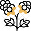 پیش‌نمایش فایل cloudberry-5834786 از پک انواع توت‌ها