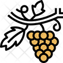 پیش‌نمایش فایل grape-5834795 از پک انواع توت‌ها