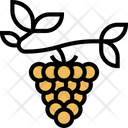 پیش‌نمایش فایل salmonberry-5834801 از پک انواع توت‌ها