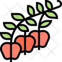 پیش‌نمایش فایل apple-berry-5834806 از پک انواع توت‌ها
