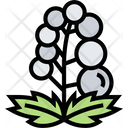 پیش‌نمایش فایل baneberry-fruits-5834807 از پک انواع توت‌ها