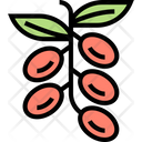پیش‌نمایش فایل barberry-ripe-5834808 از پک انواع توت‌ها