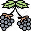 پیش‌نمایش فایل blackberry-5834810 از پک انواع توت‌ها