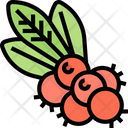 پیش‌نمایش فایل buffaloberry-berry-5834812 از پک انواع توت‌ها