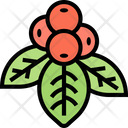 پیش‌نمایش فایل bunchberry-berries-5834813 از پک انواع توت‌ها