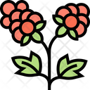 پیش‌نمایش فایل cloudberry-5834816 از پک انواع توت‌ها