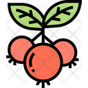 پیش‌نمایش فایل cowberry-5834817 از پک انواع توت‌ها
