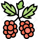پیش‌نمایش فایل currants-berry-5834820 از پک انواع توت‌ها