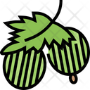 پیش‌نمایش فایل gooseberry-cape-5834824 از پک انواع توت‌ها