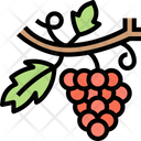 پیش‌نمایش فایل grape-5834825 از پک انواع توت‌ها