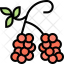 پیش‌نمایش فایل raspberry-5834830 از پک انواع توت‌ها