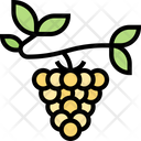 پیش‌نمایش فایل salmonberry-5834831 از پک انواع توت‌ها