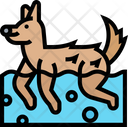پیش‌نمایش فایل dog-hydrotherapy-5834028 از پک آراستگی حیوان خانگی