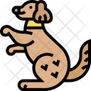 پیش‌نمایش فایل dog-training-5834022 از پک آراستگی حیوان خانگی