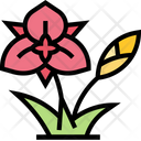 پیش‌نمایش فایل mariposa-flower-5835054 از پک کوبا