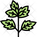 پیش‌نمایش فایل basil-leaf-5835306 از پک ادویه
