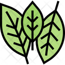 پیش‌نمایش فایل bay-leaves-5835307 از پک ادویه