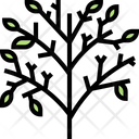 پیش‌نمایش فایل dill-leaf-5835314 از پک ادویه