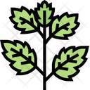پیش‌نمایش فایل mint-leaves-5835317 از پک ادویه