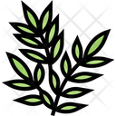 پیش‌نمایش فایل rosemary-herb-5835324 از پک ادویه