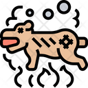 پیش‌نمایش فایل guinea-pig-5835955 از پک اکوادور