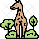 پیش‌نمایش فایل giraffe-5807585 از پک سافاری