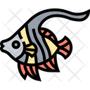 پیش‌نمایش فایل angelfish-5807726 از پک زندگی دریایی