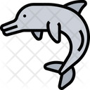پیش‌نمایش فایل dolphin-5807735 از پک زندگی دریایی