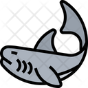 پیش‌نمایش فایل shark-5807746 از پک زندگی دریایی