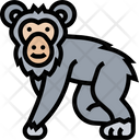 پیش‌نمایش فایل chimpanzee-5807996 از پک حیوانات وحشی