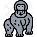 پیش‌نمایش فایل gorilla-5808002 از پک حیوانات وحشی