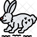 پیش‌نمایش فایل arctic-hare-5807317 از پک حیوانات زمستانی