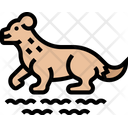 پیش‌نمایش فایل otter-5807320 از پک حیوانات زمستانی