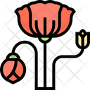 پیش‌نمایش فایل poppy-flower-5806871 از پک بلژیک