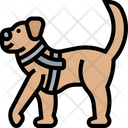 پیش‌نمایش فایل dog-guide-5805866 از پک دسترس‌پذیری توان‌یاب