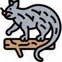 پیش‌نمایش فایل binturong-5809300 از پک استوایی و حیوانات خانگی