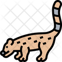 پیش‌نمایش فایل coati-5809304 از پک استوایی و حیوانات خانگی