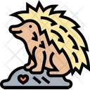 پیش‌نمایش فایل hedgehog-5809310 از پک استوایی و حیوانات خانگی